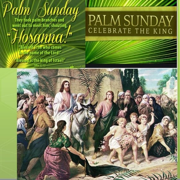 Meet your Posher, Heather - Picture 10 of 10